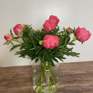 Pioenrozen in vaas