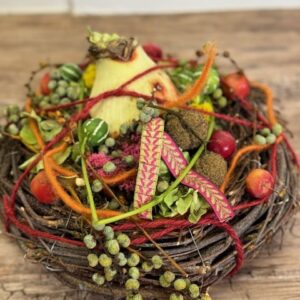 Amaryllisbol in nestje - natuurlijke winterdecoratie vol verrassing